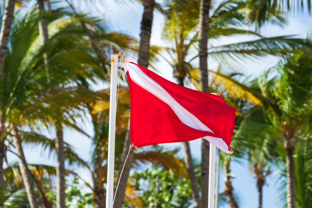 Diver down flag