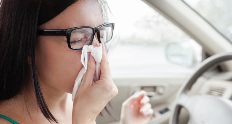 Savjeti za vozače koji pate od alergija