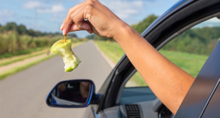 [OPREZ] Vožnja i konzumacija hrane mogu biti loša kombinacija