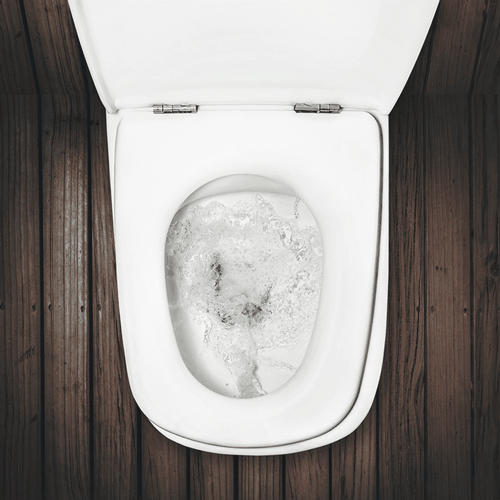 wc školjka