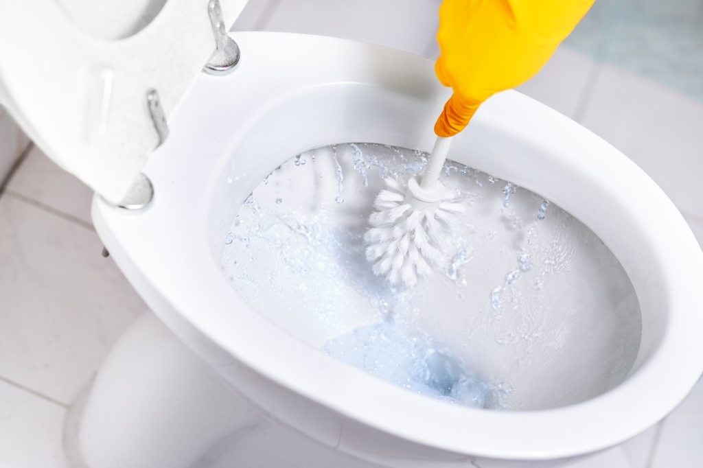 13 stvari za cisti dom - pranje wca