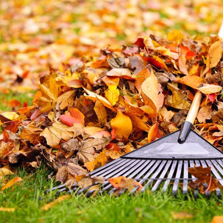 okućnica
