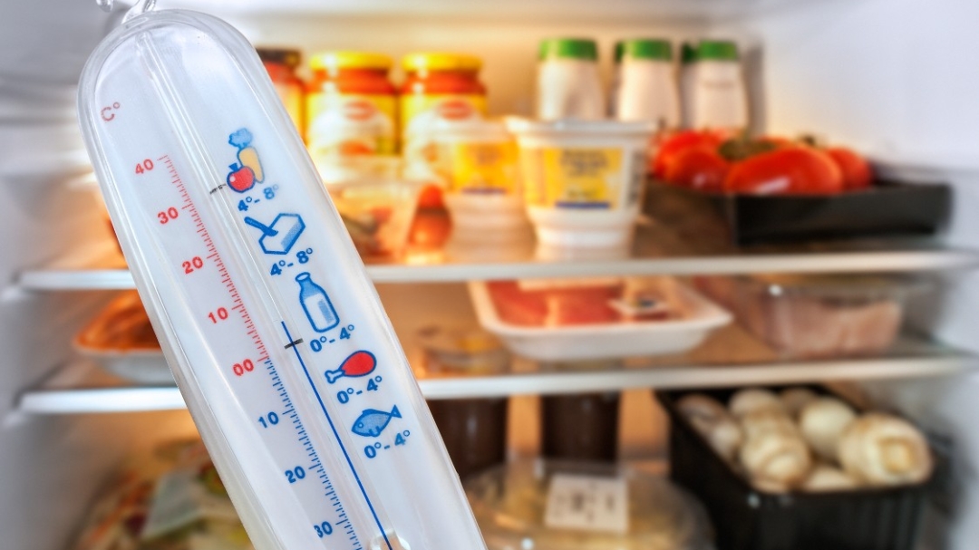 Koja je optimalna temperatura u hladnjaku i zamrzivacu - naslovna